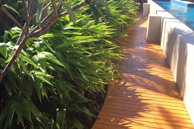 Landscaped garden path with lush tropical-style planting