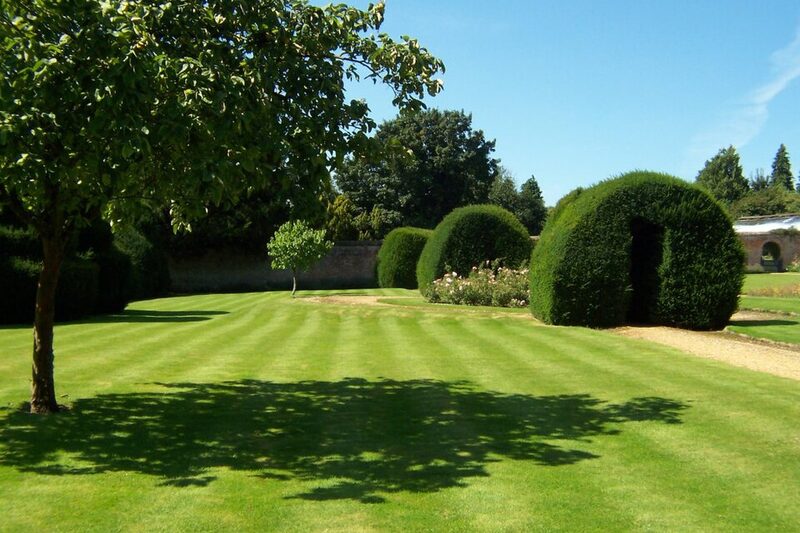 Thick striped lawn renewed through renovation and regular care