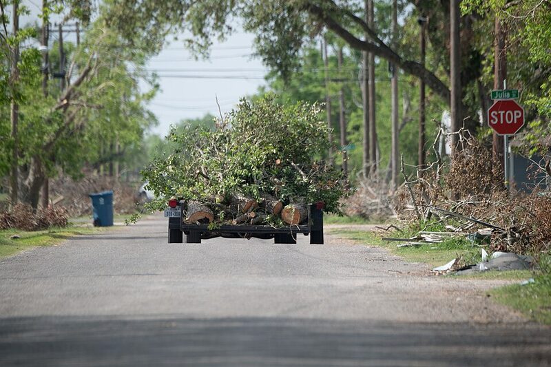 Trailer loaded with branches and logs for green waste removal