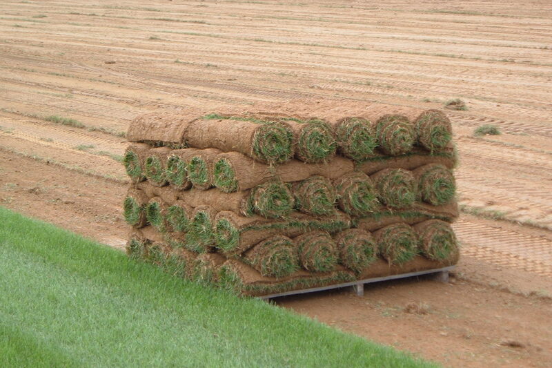 Pallet of freshly cut turf rolls ready for laying