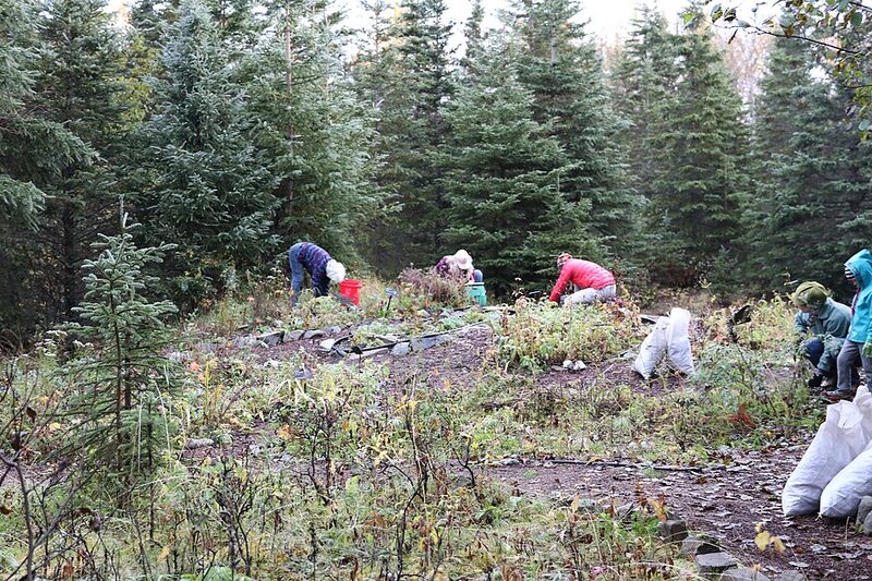Gardeners hand-weeding a garden area with weeds gathered in bags